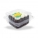 Pote Quadrado 150ML 24x10un - CRISTAL