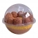 Confeibowl 30x03un - CRISTAL