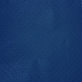 Guardanapo 30x31cm - 12x50un - AZUL ESCURO