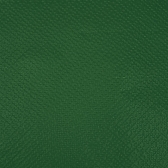 Guardanapo 20x21cm - 30x50un - VERDE ESCURO