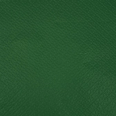 Guardanapo 20x21cm - 30x50un - VERDE ESCURO