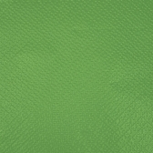 Guardanapo 20x21cm - 30x50un - VERDE CLARO
