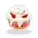 Pote Bolha 240ML 18x10un - CRISTAL