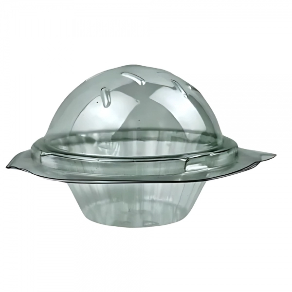 Blister Bolha 24x50un - CRISTAL