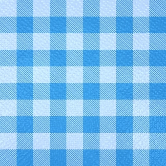 Guardanapo 30x31cm - 12x50un