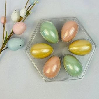 Bandeja 06 Ovos 50gr 12x05un